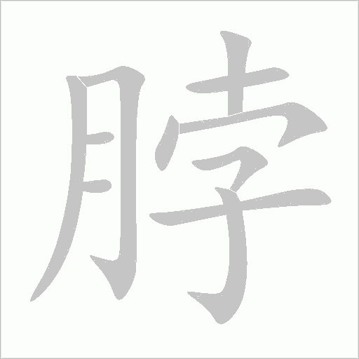 脖的笔顺